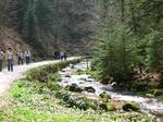 IMG_1681.JPG
