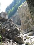 IMG_4773.JPG