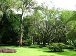 IMG_4949.JPG