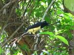 IMG_5369.JPG