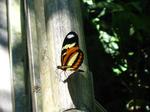 IMG_5397.JPG