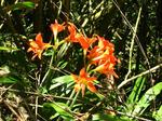 IMG_5435.JPG