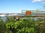 IMG_5503.JPG