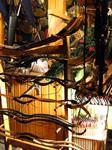 IMG_6299.JPG